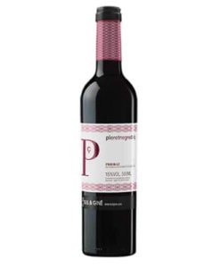 Süsswein Pleret Negre Dolç Priorat DOCa Buil & Giné