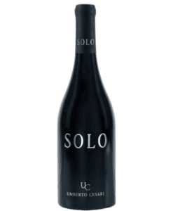 Rotwein Solo Merlese Rosso Rubicone Umberto Cesari