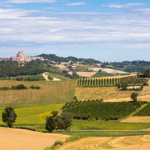 Weinproduzenten Italien