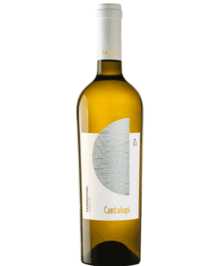 Weisswein Vermentino IGP Salento Cantalupi